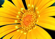 2021-12-28/21f9d7aa4adebc8c7b453af2c1008e12_0ddcd30d0919d8dc6a6adbf185012453