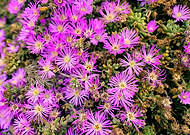 2021-12-28/5e71f77d66f6f6bcbaa285728e289b6b_bbd8bd327e2a50f8b6f214d3e8becd84