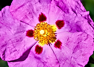 2021-12-28/9b03f287ae82d9e4ff5f5affbb13db55_83ed9da500870db2f14c34ff37d1809b