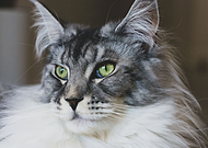 2021-12-30/beefbb80c2e5f078b88b34acaeb3e2f7_56cf1e766050fc156c945ae642f902e0