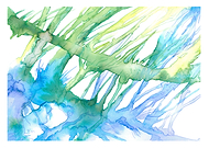 2022-01-05/1651c8ab912c6e809cb272db78594c04_364f19329625a9679d757d91daa4849a