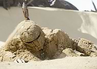 collection-preview-2