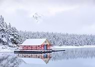 2022-01-14/696b71167d8fd0eef7c523a18527e705_20b8f129b7a510e30cfd7e0646f4e749