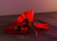 2022-01-14/8705d8d1172d3e7cdf71d32859a58888_3cee206e8fdd40ff51d2403351e01fdf