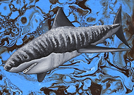 2022-01-14/e97d9bb44b50d3a87d5124fb8036236f_c05ca256c1f665b0a06ffa92dfdb76d7