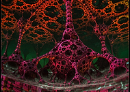 2022-01-21/12945b985be8ac071bda67ec64cbbfb0_cfce7d7b88c6ba36b39e79995e92971d