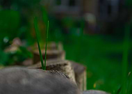 2022-01-22/8a6991ca3cba3bf05ec3edf716bcb84c_a31eaae04c39a7b97228d1cf22607cf9