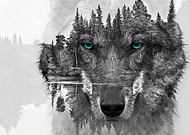 2022-01-27/e556ce3239a00fd80a0029f7cb1e6703_e59e6fbd405c7d32ae29d2abd7d5f035