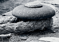 2022-01-30/2c6fa0a938645c11e826072882ea8b80_5f713048206207107a46286189169c43