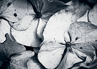 2022-01-30/eb2027afd4800a2b88c93f683d73c917_2ad9cc8ccc9b631ac9a7c8b873c47d51