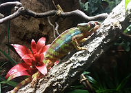 2022-02-01/9c42dae68b3da7fe830ef76186777755_0a28a011a1233ebceb793c04bfb409ac