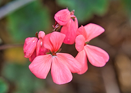 2022-02-02/556a40d9d791a37c4f579e3e6a7becad_b6a004c905740ae7911cb1345adb1799