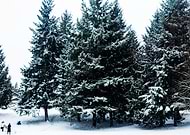 2022-02-20/8aef34b7eb9d23dfcdd3ba20d2fc4dc2_48b741a33b14fb1249d9ec9f06e44f0e