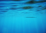 2022-02-22/566d653519bc8eb7307af4f59fd047ce_cd814f719a12cd2b0d2a1835c7ded827