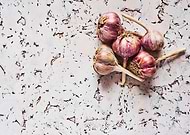 collection-preview-3