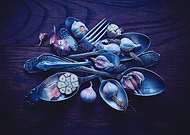 collection-preview-0