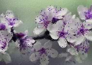 2022-03-05/71e5ed65daafd443d0ec6f979bc53251_9f645892e329b56f28f07ede0b7956e4