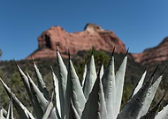 2022-03-06/0244a3cf1c2833e208b141e5a3bb01e7_6420e77b8c3ac58b7f07a799c2b532a5