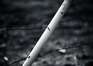 2022-03-10/4be6c0dc857c11ca3eb3fe96bfb7401e_2f14cde2d64e8a9f20428bc245cdfccc