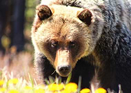 2022-03-28/3c14d4f1a901afa38612532c984c98ed_cdd501d5218b116ab11cc2d91a47a68d