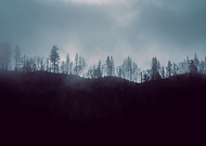 2022-03-30/af2fc75e003a95f8de08532b5e2fa851_f2323958e9a8f32b8f1a697ebec1813f