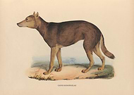 2022-04-01/02dd0b107059e6fad870c585555b2d70_d6840c61430803b71bbdf4bf9386245e