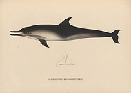 2022-04-01/127e7cf8bad201ce98569a66674b286b_106ddb843f3bf6167182edc6b92873d9