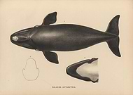 2022-04-01/b6ca9d08d04b75be0016a2aba0c35bc1_ce2e3fae1b5a7a925e15b2e548052859