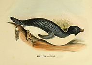 2022-04-01/cdd4cd6e5830ba152e1a5b7cee671814_5185f69739ee4d750babe9f229e9d80d