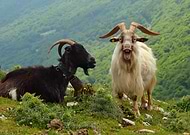 2022-04-05/7f245108709f541fa47b473d12d69e7d_08d128f82807de4f32366703b36c95de