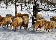 2022-04-05/c0ad8087116bacadb4755d832e14ea27_e787f58f504c5228ac39b7114952be08