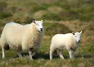 2022-04-06/50661fd9da1f02e0a97368c7b13b53a1_717f0535e077ca9e5647db9b0a461696