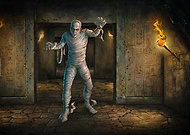 collection-preview-1