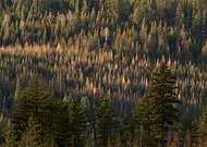 2022-04-11/993cb539225d026f087ccb81d4d7ff9f_57a1de3a6575bebcdca8feae03237fc2