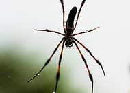 2022-04-15/aa3134683aaecba86ca9b90be18dda93_cc2a70c10818edb9854430aeb70617d7