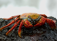 2022-04-19/33144dcf4af4e645ab3190248b26fdf7_ba88870f5556f5a3543297944db1154c