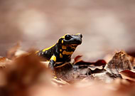 2022-04-22/c0aa3bc2d647f2b788c75a15037e44d0_e95d7eb49d38bfd4d5a0b13176130a83