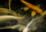 2022-04-29/9dd689a7256c097ff52d208de522a2f3_78d5920ab734201e6e6a946c1aaec64d