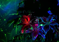 2022-04-30/5adc5b7e2feceacac93ca4164240d10c_f8f8930032f66b1af718dd02f7ca2eb6