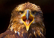 2022-05-04/5d4d90d205a5fd436938a4ffab8325be_07772644c8f4e3fbf8de2a32184dc0ad