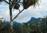 2022-05-09/877132e2ef8b46786764ac6ebd8b15f3_24e60d4efe4090e62e69599fdfc9ed1f