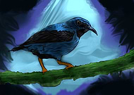 2022-05-13/30e10c6c054c71611aab87bcaa7f4173_b4c8461d93dec421f7fb4e85411d365f