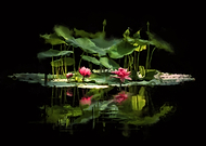 2022-05-13/6f89fb231dfa19f5114c082aedf7218c_b3c115fc8aec6ac494750ca30fbcd559