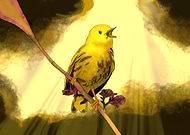 2022-05-13/9dc8c805141eaba24143832823db6c93_5a8b6c6c219090e093f5d13aa1059336