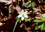 2022-05-13/c3cc47d6f93e8bb98be28cc66db6fcf7_e282d7808e5b3a96a71b4dd8445e817c