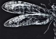 2022-05-23/907485b855b1e80df72b6cbde60743b5_b06d05319d9d691c629d25576b720bb5