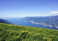 2022-05-31/a475f2c4e05f78435074002feb79450d_be89eb5306f023b7607f3c8187706576