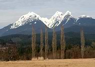 2022-05-31/a816e1854f1455e3c7cb2c7f69c7995b_de730d86d1744fccc950787df4e0b1fd