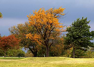 2022-06-01/2e470b60a5b2f291b37d0399222d396e_729a3391d676d852b313b05bb90916f6