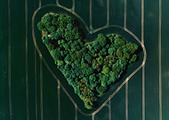 2022-06-01/3fbfa426ca0c4e49a77daa7e2a47864a_2bb0544da954702eae5a0fcf6b47fc8c